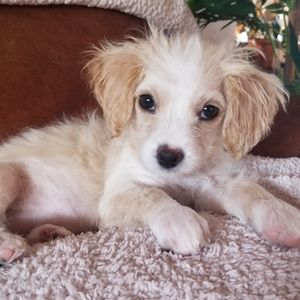 Meet your Posher, Jill